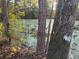 View of the algae covered pond surrounded by trees and other vegetation at 353 Vannote Rd, Pierson, FL 32180
