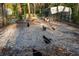 A charming chicken coop with chickens, offering a touch of rustic living and fresh eggs at 227 N Putnam Grove Rd, Oak Hill, FL 32759