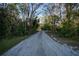 Long, private driveway leading to the home, surrounded by mature trees and natural landscape at 227 N Putnam Grove Rd, Oak Hill, FL 32759