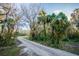 A secluded driveway lined with lush tropical foliage guides you to your private and tranquil oasis at 227 N Putnam Grove Rd, Oak Hill, FL 32759