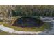 Aerial view of a natural pond surrounded by lush greenery and mature trees at 227 N Putnam Grove Rd, Oak Hill, FL 32759