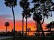 Beautiful Florida sunset view with palm trees and waterfront at 5178 Riverside Dr, Port Orange, FL 32127
