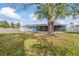 Large backyard with a sprawling tree and screened patio at 1275 Elkcam Blvd, Deltona, FL 32725