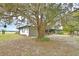Charming single story home nestled under a large tree at 180 Robinson Ln, Seville, FL 32190