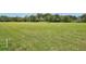 Expansive grassy lawn with a tranquil atmosphere at 180 Robinson Ln, Seville, FL 32190
