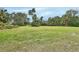 Spacious property lot with lush grass and mature trees at 180 Robinson Ln, Seville, FL 32190