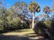 Backyard with lush vegetation and palm trees at 1848 Ridgewood St, Deland, FL 32720