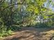 Peaceful backyard with a picnic table under the shade of trees at 1937 N Spring Garden Ave, Deland, FL 32720