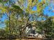 House nestled in a wooded area with tall trees overhead at 1937 N Spring Garden Ave, Deland, FL 32720