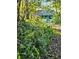 Green ferns in front of a small house at 1937 N Spring Garden Ave, Deland, FL 32720