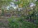 Wooded lot with overgrown vegetation at 1937 N Spring Garden Ave, Deland, FL 32720