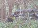 Pile of black pipes in wooded area at 1937 N Spring Garden Ave, Deland, FL 32720