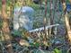 Grey water pump and pipes in wooded area at 1937 N Spring Garden Ave, Deland, FL 32720