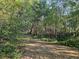 Image shows a wooded path leading into a lush, natural area at 1937 N Spring Garden Ave, Deland, FL 32720