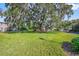 Large oak tree and manicured lawn in community at 117 N Garfield Ave # 1, Deland, FL 32724