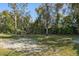 View of a large backyard with a mixture of grass and trees at 1768 Santee Ave, Deltona, FL 32738