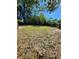 Spacious backyard with grassy area at 5108 Cassatt Ave, Orlando, FL 32808