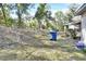 Backyard with chain link fence and wooded area at 1450 Alden St, Deland, FL 32720