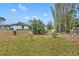 Large backyard with mature trees and grassy area at 216 Hickory Ave, Orange City, FL 32763