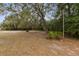 Large backyard with trees and greenery, offering a serene and private outdoor space at 1870 S Lehigh Dr, Deltona, FL 32738