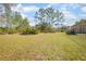 Large backyard with mature trees and chain link fence at 43747 Choctaw St, Deland, FL 32720