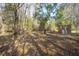 View of land featuring trees, leaves and a storage shed, perfect for outdoor activities and enjoying nature at 43747 Choctaw St, Deland, FL 32720