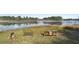 Lakeside backyard with relaxing seating overlooking tranquil lake and natural Florida setting at 149 Sheryl Dr, Deltona, FL 32738
