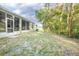 Private backyard with screened porch and tree coverage at 242 W Fiesta Key Loop, Deland, FL 32720