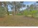 Spacious backyard with mature trees and natural landscaping, providing a serene outdoor setting at 387 Paradise Dr, Deland, FL 32720