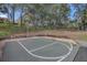 Outdoor basketball court nestled among mature trees, offering a recreational amenity at 510 Sandy Bluff Trl, Deland, FL 32724