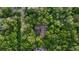 Aerial view showing the home nestled among lush trees at 120 Beach St, Ponce Inlet, FL 32127
