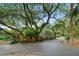 Home and driveway surrounded by mature trees and colorful tropical foliage at 120 Beach St, Ponce Inlet, FL 32127