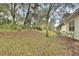 Backyard featuring mature trees and natural landscaping at 1429 Carlow Cir, Ormond Beach, FL 32174