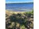 Lakeside retreat with private beach access from your backyard at 2111 Hontoon Rd, Deland, FL 32720