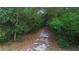 Scenic view of a natural pathway on the property, surrounded by lush trees and greenery at 725 E New York Ave, Orange City, FL 32763