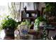 Interior decor featuring a pitcher and a collection of houseplants on a glass table at 12841 Se 97Th Terrace Rd, Summerfield, FL 34491