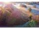 Scenic landscape featuring fog-covered trees with the sun rising through the fog and trees at 12841 Se 97Th Terrace Rd, Summerfield, FL 34491