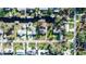 Aerial view of home with a large yard and trees at 55634 Sam St, Astor, FL 32102