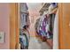 Walk-in closet with rods, shelving, and pink walls to maximize space at 749 E Wisconsin Ave, Orange City, FL 32763