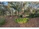 Lush backyard with mature trees and landscaping providing ample shade and privacy at 1552 Covered Bridge Dr, Deland, FL 32724