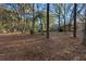 Wooded backyard featuring mature trees and a glimpse of the brick home at 1552 Covered Bridge Dr, Deland, FL 32724