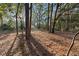 Wooded backyard featuring tall mature trees, landscaping and dappled sunlight at 1552 Covered Bridge Dr, Deland, FL 32724
