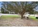 Spacious fenced backyard with a large tree, patio furniture, and a grill, perfect for outdoor entertaining at 3318 Dewberry Dr, Deltona, FL 32738
