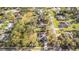 Aerial view of a home surrounded by mature trees in a quiet neighborhood at 5981 Jandon Ct, Port Orange, FL 32127