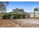 Backyard view of the home with an enclosed pool and lush tropical landscaping at 980 Buttercup Ter, Deltona, FL 32725