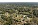 Birds-eye view of multiple homes nestled among mature trees in a serene, sprawling landscape at 1773 Blue Oak Ct, Deland, FL 32720