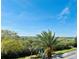 Beautiful view of the water and sky framed by palm trees and lush greenery at 4626 Harbour Village Blvd # 3302, Ponce Inlet, FL 32127
