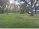 Large grassy backyard with mature trees at 7108 East Rd, Lakeland, FL 33809