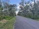 Street view of a neighborhood with mature trees and greenery at 7108 East Rd, Lakeland, FL 33809