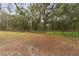Expansive grassy backyard surrounded by lush greenery and mature trees, perfect for outdoor activities at 749 Cassadaga Rd, Lake Helen, FL 32744